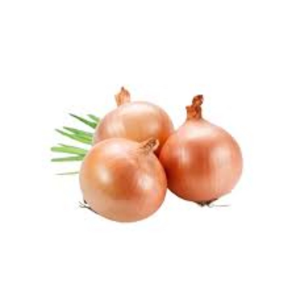 COOKING ONION 4KG