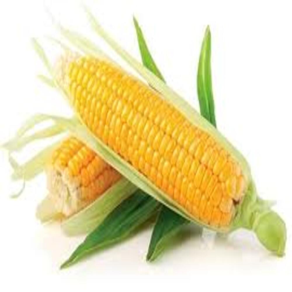 FRESH CORN (MISIR) 8x3pcs