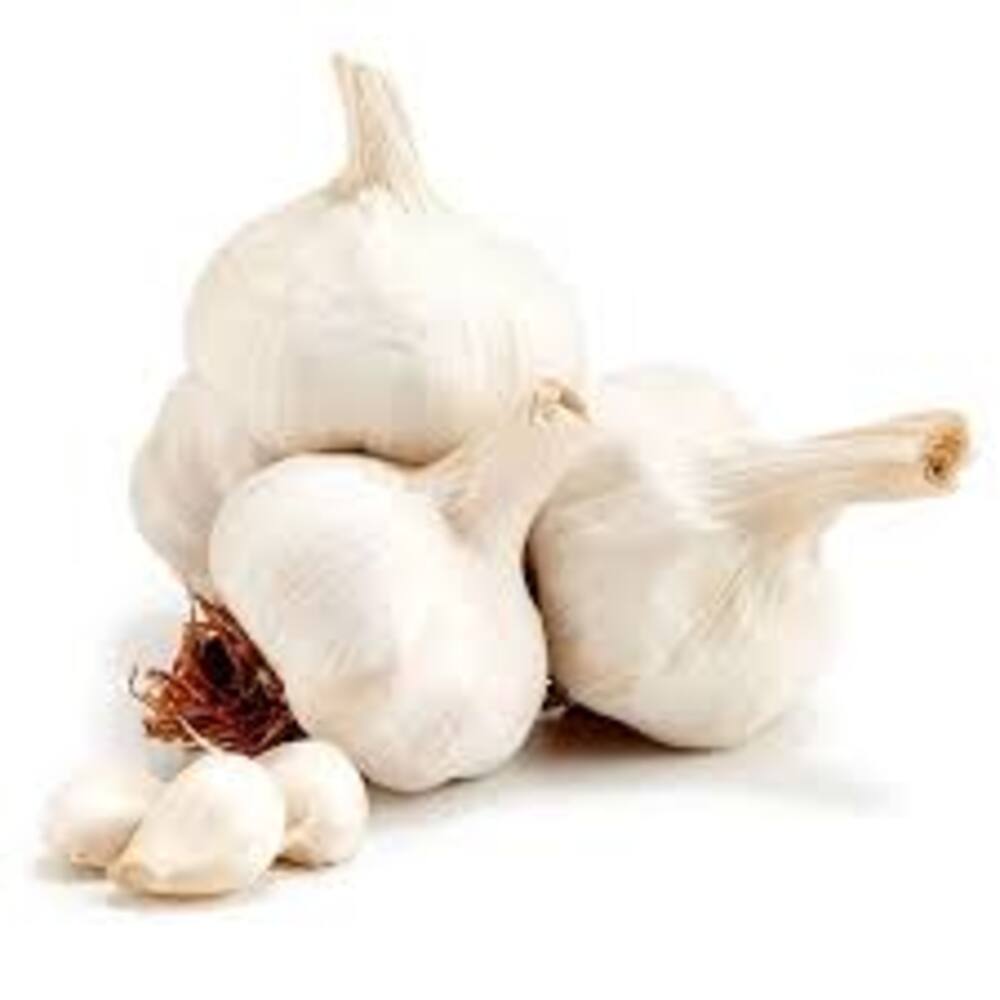 GARLIC PP 10x700G