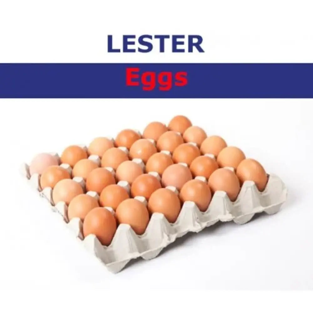 HML FRESH MEDIUM EGGS LESTER 8x30s