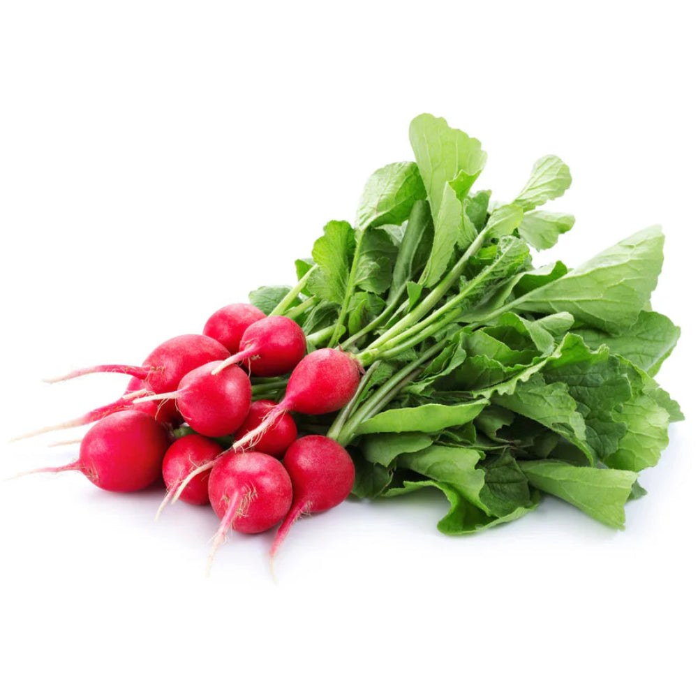 RADISH WOOD BOX 15 BUNCH