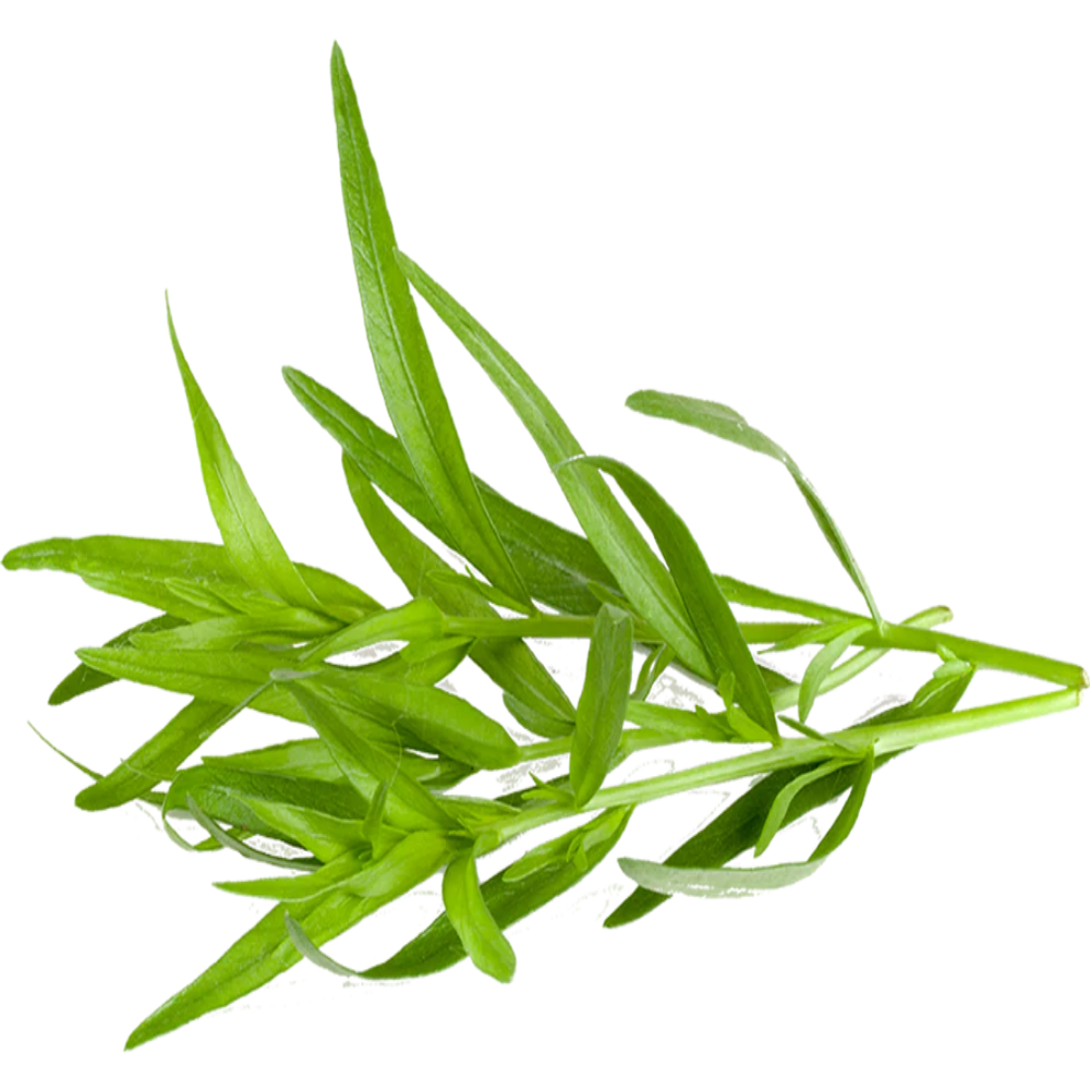 TARRAGON FRESH HERBS 50GM