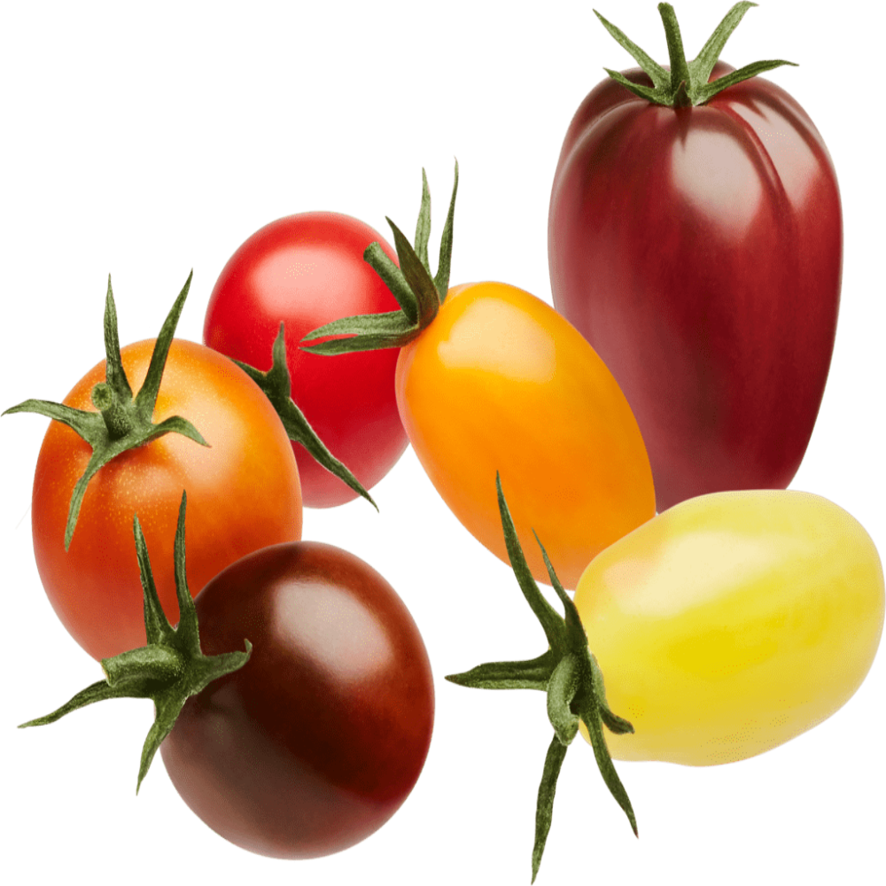 Wild mix tomato