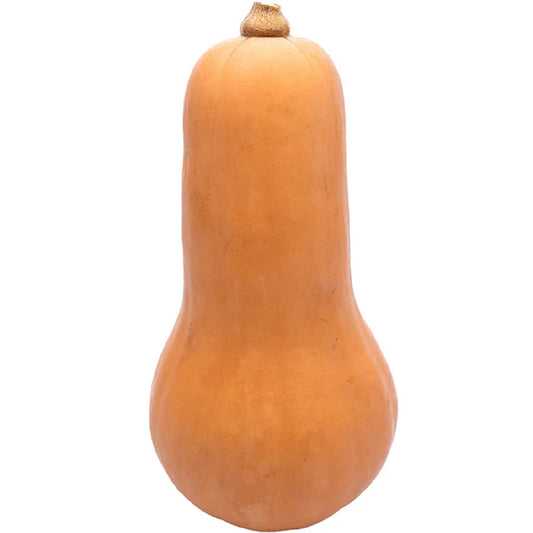 Butternut squash x8