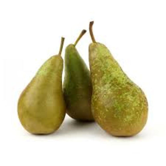 CONFERENCE PEAR ( ARMUT ) 12KG