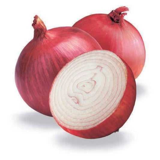 COOKING  ONION 20KG