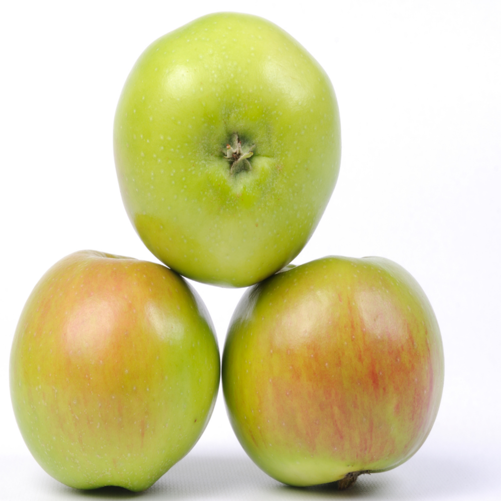 Cooking Apple