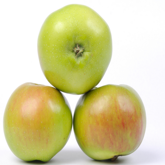 Cooking Apple