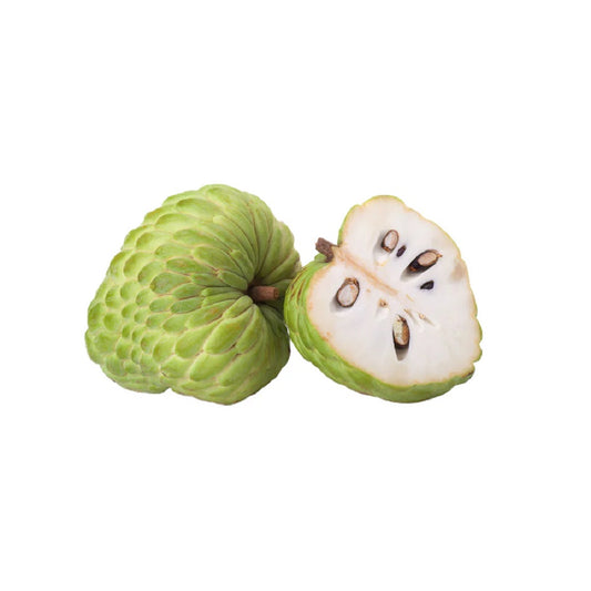 Custard Apple 10x500