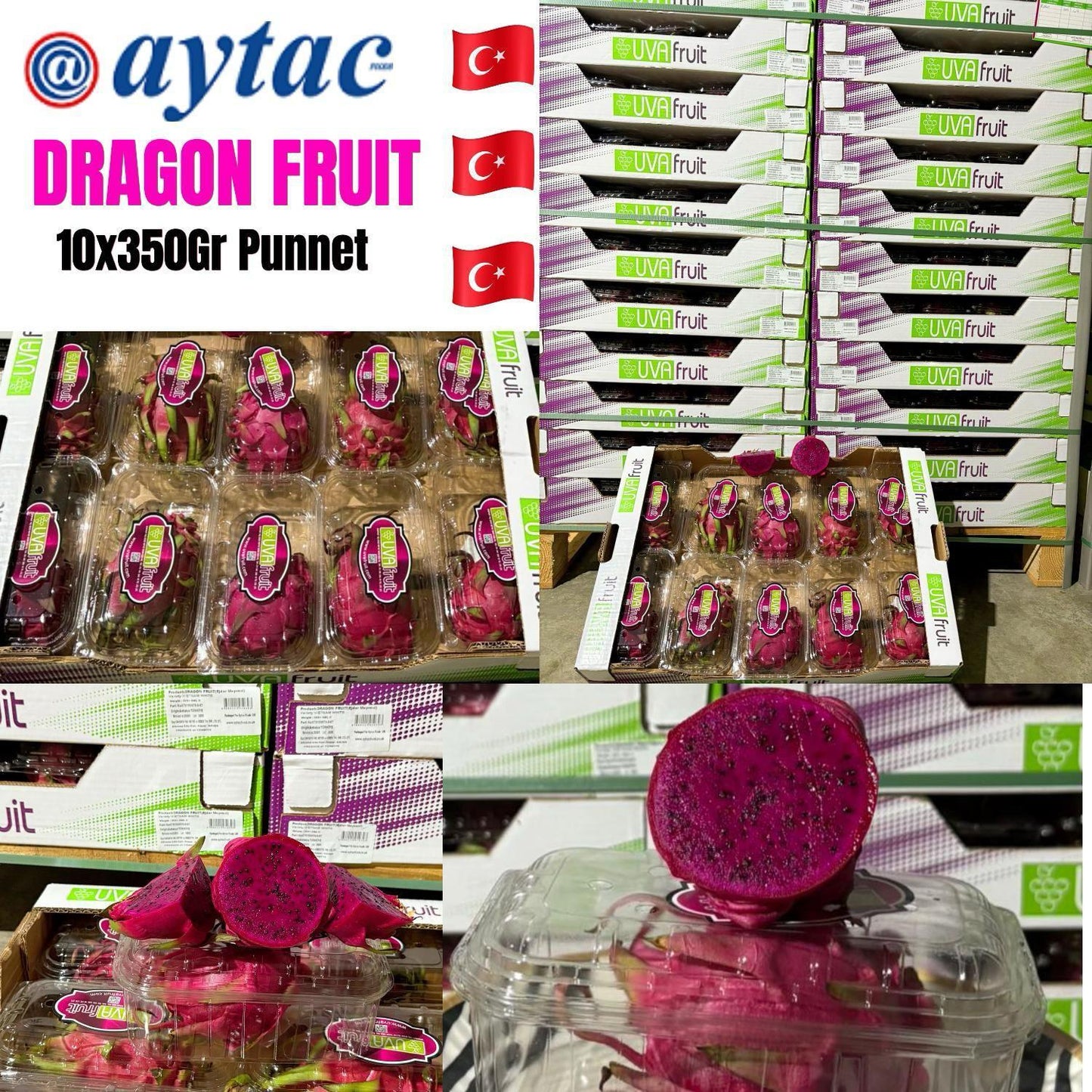 DRAGON FRUIT RED (PUNNET) 10X350 GR -TRVEG
