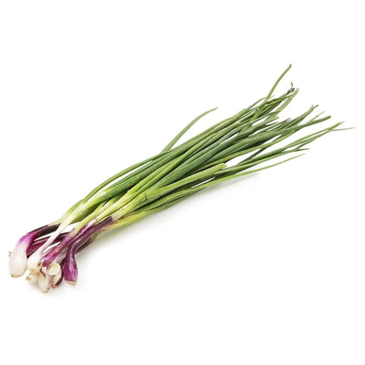FRESH FRESH SPRING ONIONS 16 BUNCH