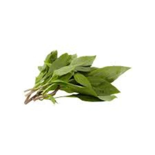 FRESH HERBS BASIL 10x50g