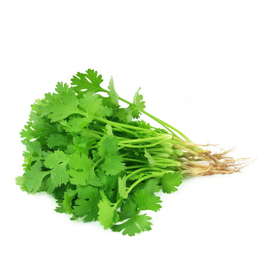 FRESH HERBS CORIANDER BUNCHES