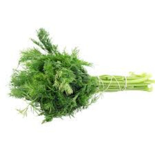 FRESH HERBS DILL