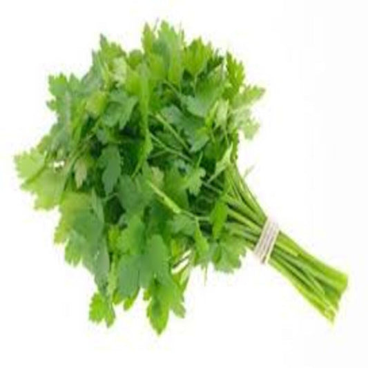 FRESH HERBS FLAT LEAF PARSLEY