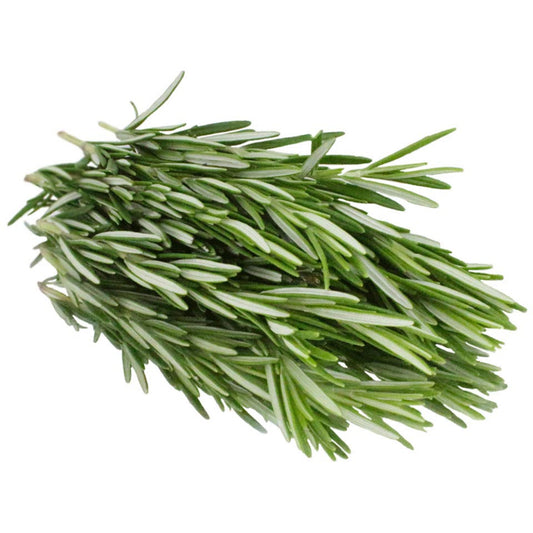 FRESH HERBS ROSEMARY PACKET 50G