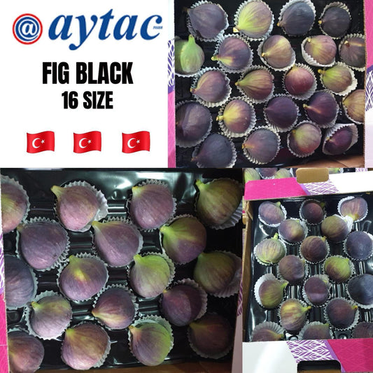 FIG BLACK (SIZE 16) 1.6 KG -TRVEG