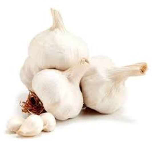 GARLIC PP 10x700G