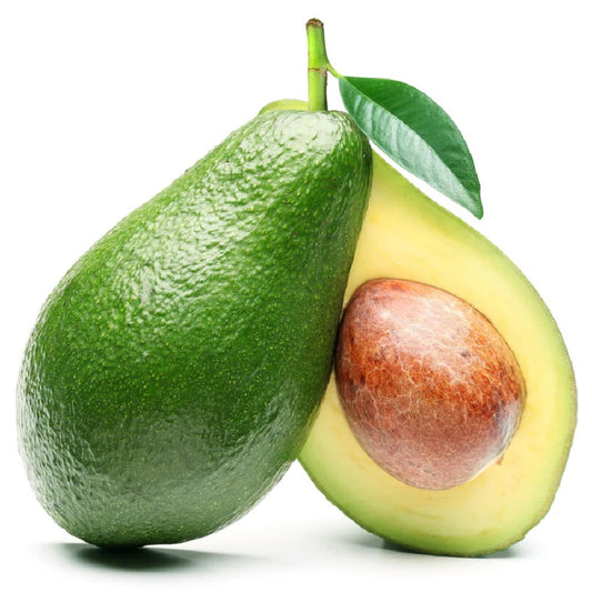 GREEN AVOCADO GALILEE x14