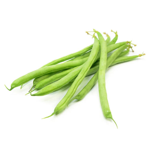 GREEN FINE BEANS 1.5KG