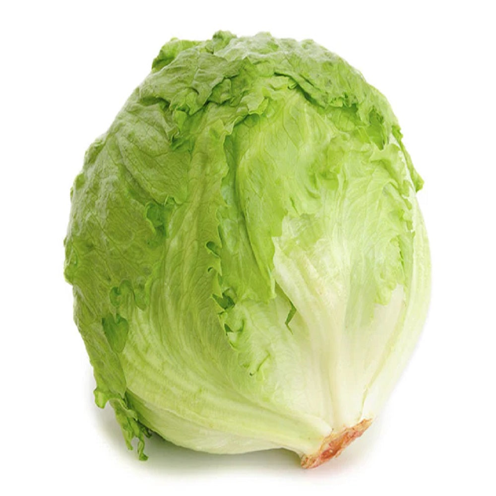 ICEBERG LETTUCE (10-12 PCS/BOX)