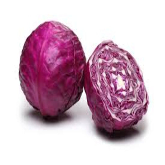 LARGE RED CABBAGE 25KG