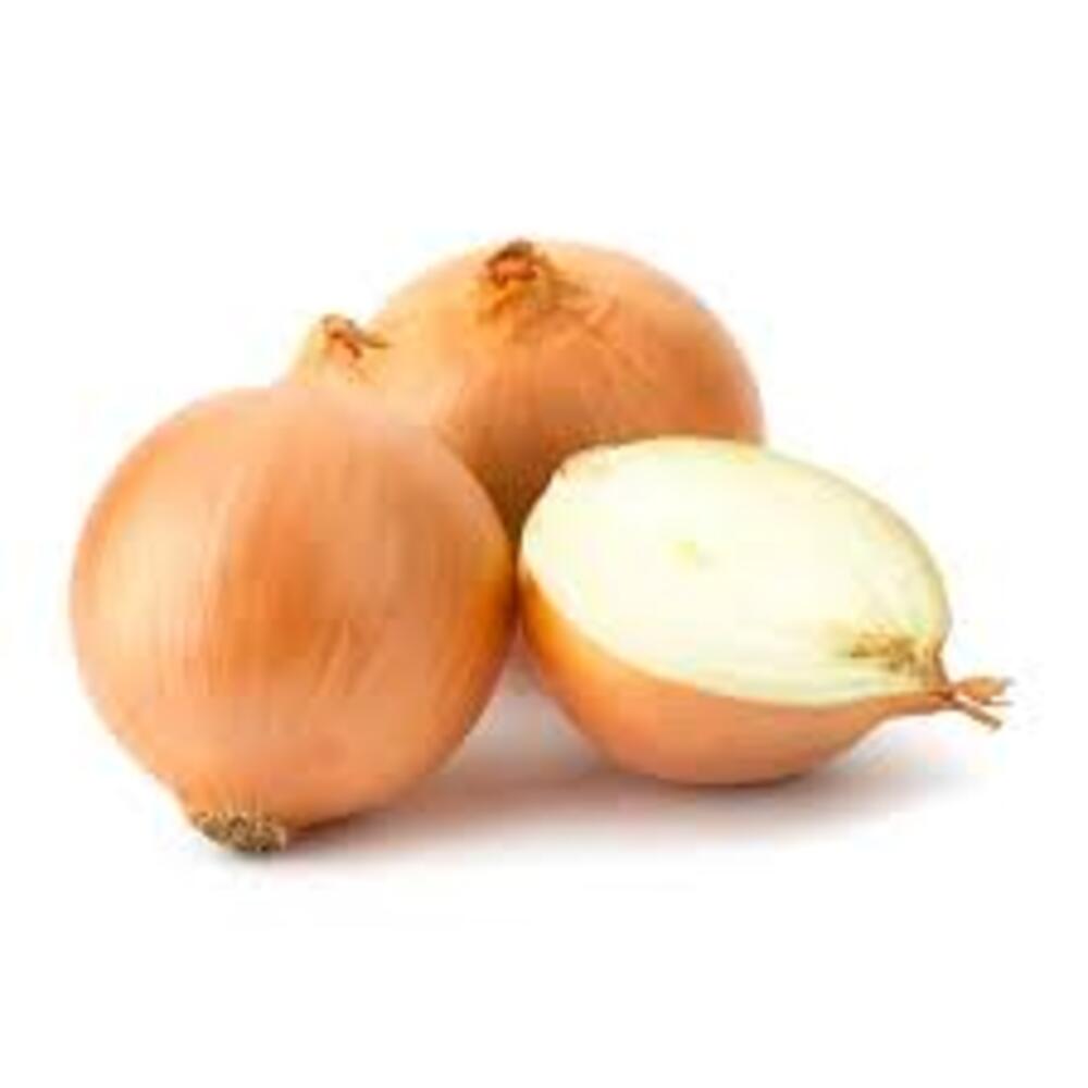 LARGE SPANISH ONIONS 20KG