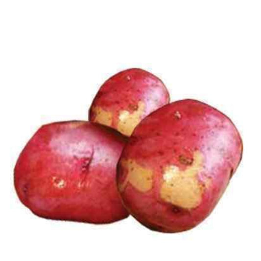 LINROYALE RED POTATOES LOSE 20KG