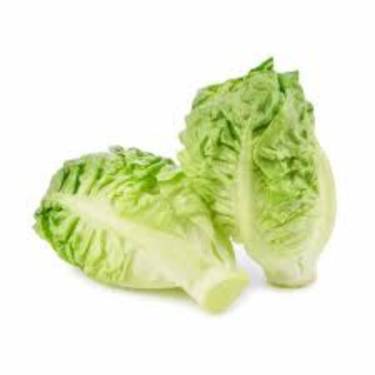 LITTLE GEM LETTUCE 10