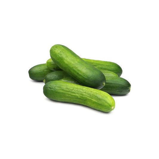 LQ CUCUMBER (CLASS I) 12-14
