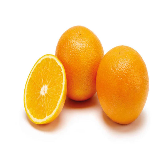 Large Orange x48