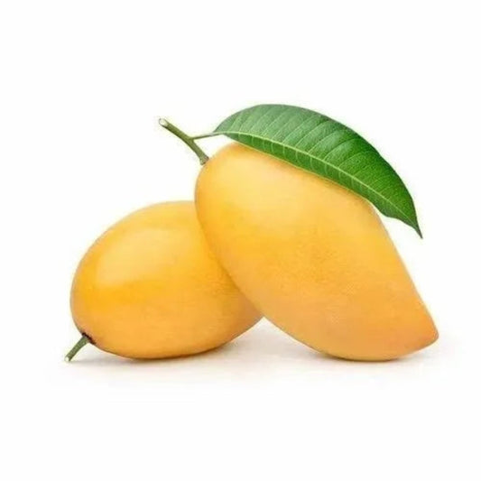 MANGO KESAR 6PC 1.5KG