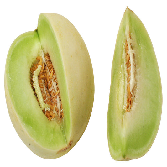 MELON - HONEYDEW