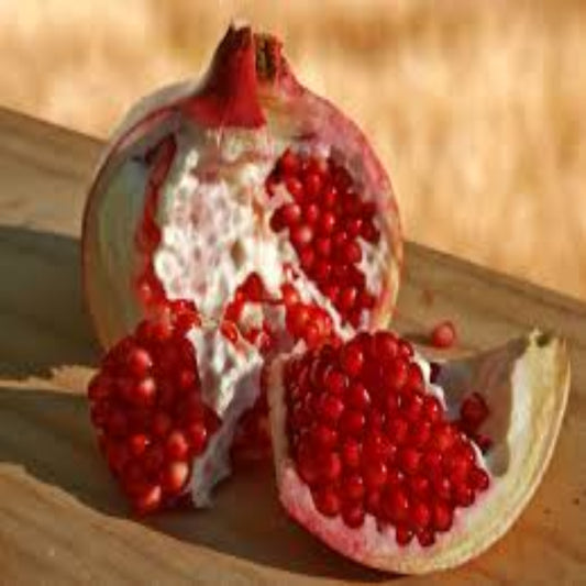 POMEGRANATE (NAR) (MEDIUM) 10PCS