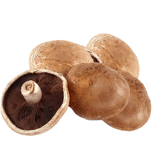PORTOBELLO MUSHROOMS 1.5KG