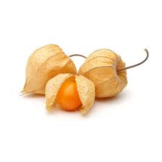 Physalis fruit