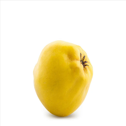 Quince 7KG