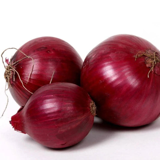 RED ONIONS 10KG
