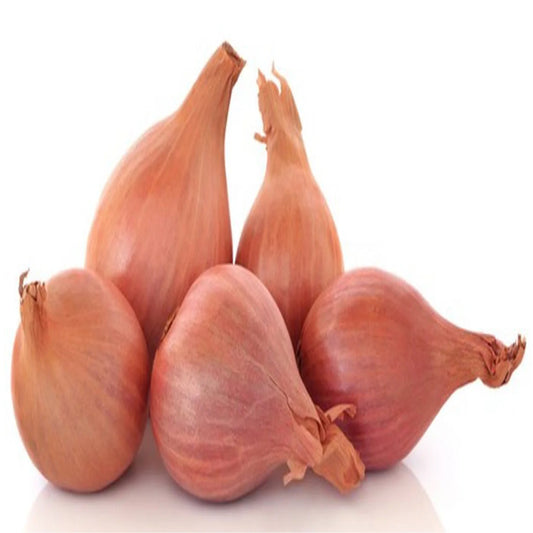 SHALLOTS ONION BAG 20X400G