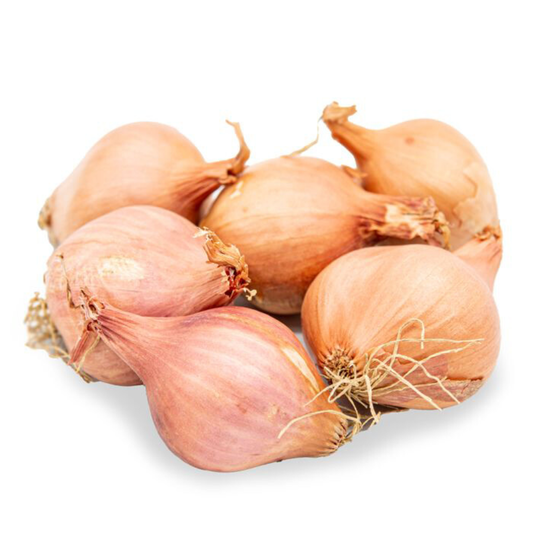 SHARLOTT ONIONS NET  4KG