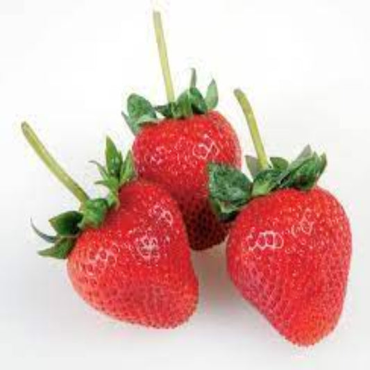 STRAWBERRIES PREPACK 8X500G