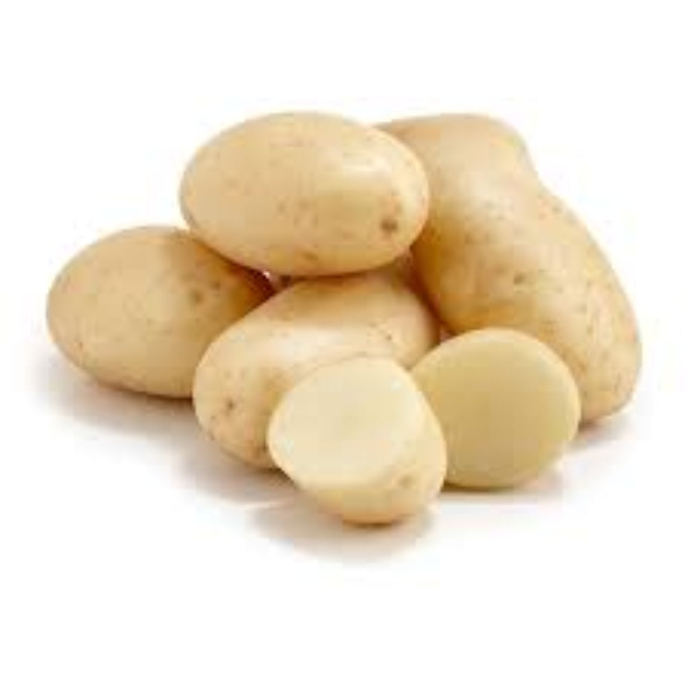 WASHED AND GRADED-WHITE POTATO (BEST Q)