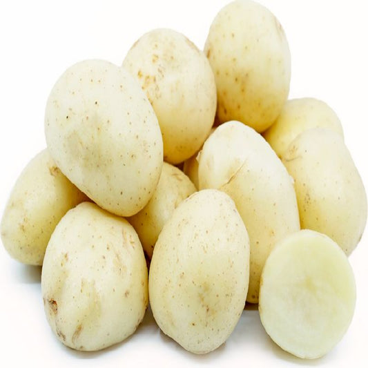 WHITE POTATO PRE PACKED 10X2KG