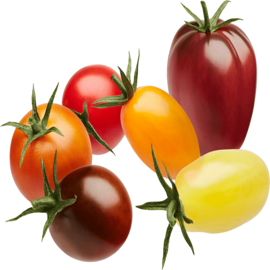 Wild mix tomato
