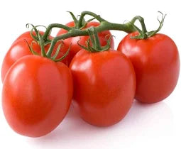 PLUM TOMATOES 5KG